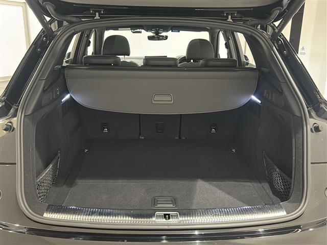 SQ5 ベースグレード サンルーフ Bang&Olufsen レッドキャリパー(28枚目)