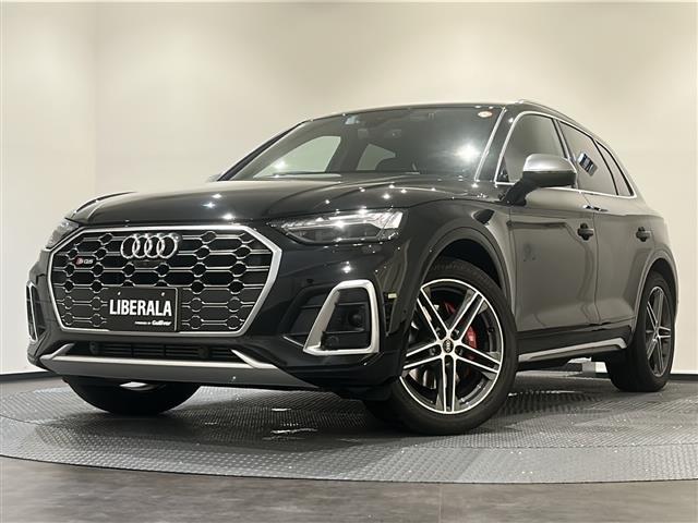 SQ5 ベースグレード サンルーフ Bang&Olufsen レッドキャリパー(32枚目)