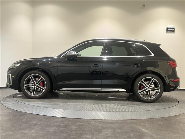 SQ5 ベースグレード サンルーフ Bang&Olufsen レッドキャリパー(33枚目)