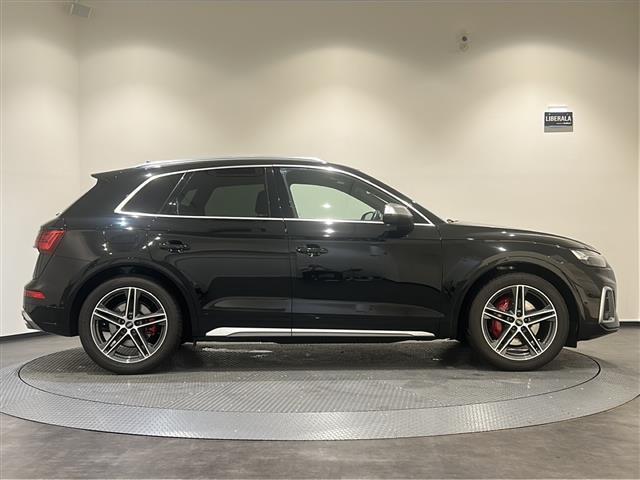 SQ5 ベースグレード サンルーフ Bang&Olufsen レッドキャリパー(34枚目)