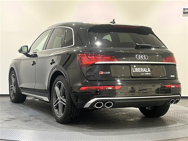 SQ5 ベースグレード サンルーフ Bang&Olufsen レッドキャリパー(37枚目)