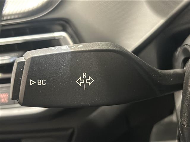 1シリーズ M135i xDrive Mスポーツシート 純正ナビ アクティブクルーズコントロール パドルシフト(17枚目)