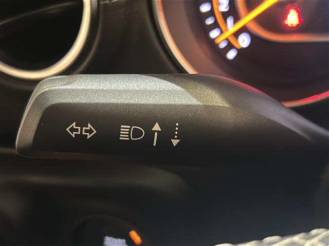 ジープ・ラングラーアンリミテッド サハラ AndroidAuto アダプティブクルーズコントロール アルパイン製プレミアムスピーカー ParkviewTMリアバックアップカメラ ブラインドスポットモニター オートハイビームヘッドライト(17枚目)