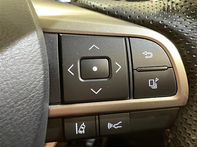 ＲＸ ＲＸ３００　Ｆスポーツ　ＬｅｘｕｓＳａｆｅｔｙＳｙｓｔｅｍ＋　アダプティブクルーズコントロール　レーンキピングアシスト　・ブラインドスポットモニター　ベンチレーション　シートヒーター　ステアリングヒーター（18枚目）