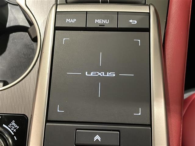 ＲＸ ＲＸ３００　Ｆスポーツ　ＬｅｘｕｓＳａｆｅｔｙＳｙｓｔｅｍ＋　アダプティブクルーズコントロール　レーンキピングアシスト　・ブラインドスポットモニター　ベンチレーション　シートヒーター　ステアリングヒーター（19枚目）