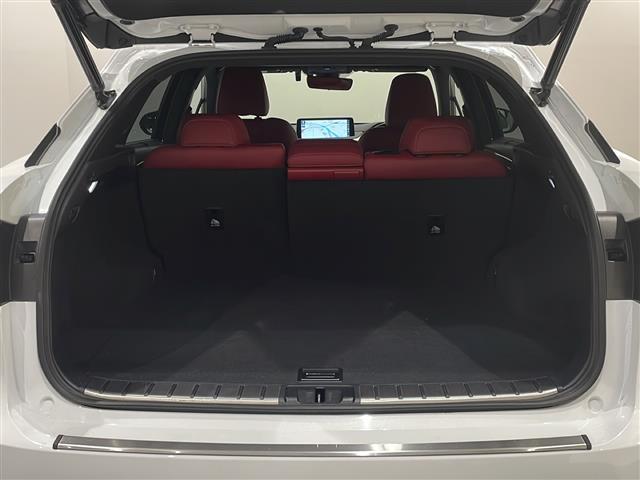 ＲＸ ＲＸ３００　Ｆスポーツ　ＬｅｘｕｓＳａｆｅｔｙＳｙｓｔｅｍ＋　アダプティブクルーズコントロール　レーンキピングアシスト　・ブラインドスポットモニター　ベンチレーション　シートヒーター　ステアリングヒーター（42枚目）