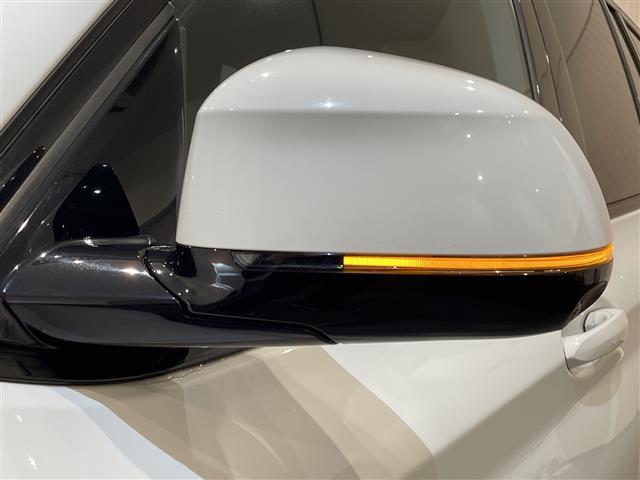 Ｘ３ ｘＤｒｉｖｅ　２０ｄ　Ｍスポーツ　ハイライン・パッケージ　ランバー・サポート（運転席＆助手席、電動調節式）　リヤ・シート・ヒーティングフロント　シートヒーティング　ヴァーネスカ　レザーシート　アンビエントライト（41枚目）