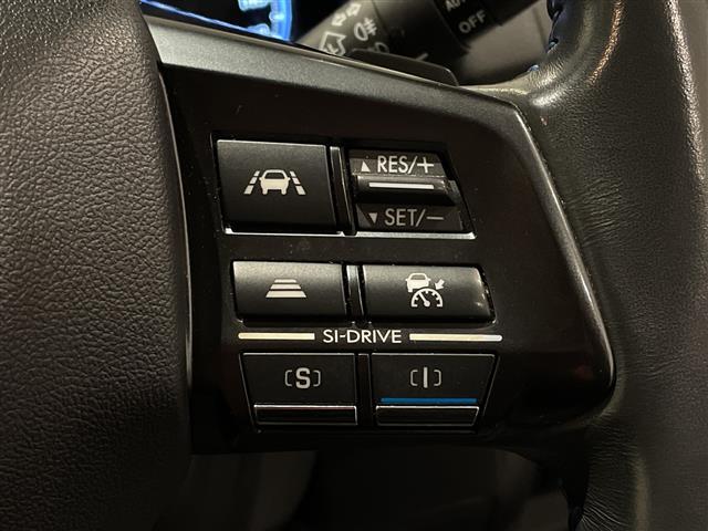 ���x���[���ł́A�ʏ�̃I�[�g���[���i�Œ��P�Q�O�񕥂��j�̑��ɂ��u����ۏ،^�v�����v��u�c���ݒ�v�����v�ȂǁA�l�X�Ȃ��x���v���������p�ӂ��Ă���܂��B