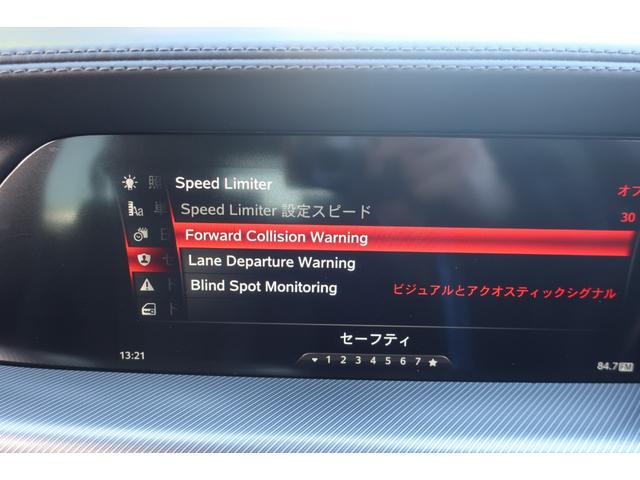 ステルヴィオ ２．０ターボ　Ｑ４スポーツパッケージ　１オーナー車　純正ディスプレイオーディオ＆Ｂトゥース＆Ｂカメラ　ハーマンカードンサウンドシステム　専用インテリア＆レザースポーツシート　シートヒーター　Ｐシート　パワーバックドア　ＬＥＤライト　専用１９インチアルミ（31枚目）