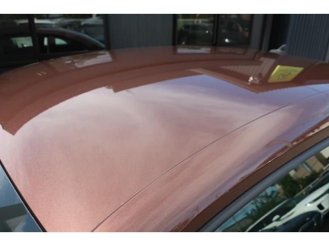 ザ・ビートル オールスター　２８０台限定モデル　後期型　１オーナー車　専用ボディカラー♪ダークブロンズ／専用インテリア＆ハーフレザーシート／純正ＳＤナビ／ＴＶ／ＤＶＤ／ＳＤ／ＣＤ／ＵＳＢ／Ｂトゥース／専用１７インチＡＷ／キセノンヘッドライト／ＬＥＤライナー／フォグランプ（46枚目）