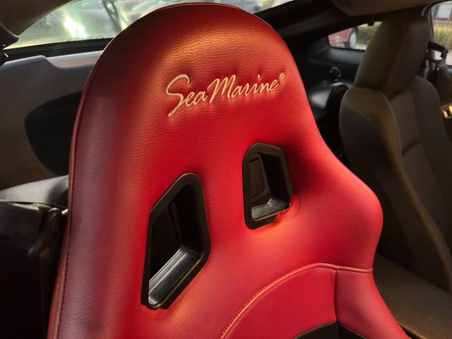 フェアレディZ バージョンS 6MT/R35ルックウェーバースポーツエアロ/GTウイング/エンケイRP03/ローダウン/セミバケ/MOMOステ/LEDテール/アルパインオーディオ/社外マフラー/ブレンボキャリパー/ETC(34枚目)