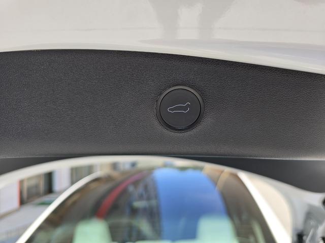 モデル３ スタンダードレンジプラス　ＥＴＣ　オートクルーズコントロール　ナビ　アルミホイール　サンルーフ　ＣＶＴ　電動リアゲート　Ｂｌｕｅｔｏｏｔｈ　ＡＢＳ　エアコン　パワーステアリング　パワーウィンドウ　運転席エアバッグ（30枚目）