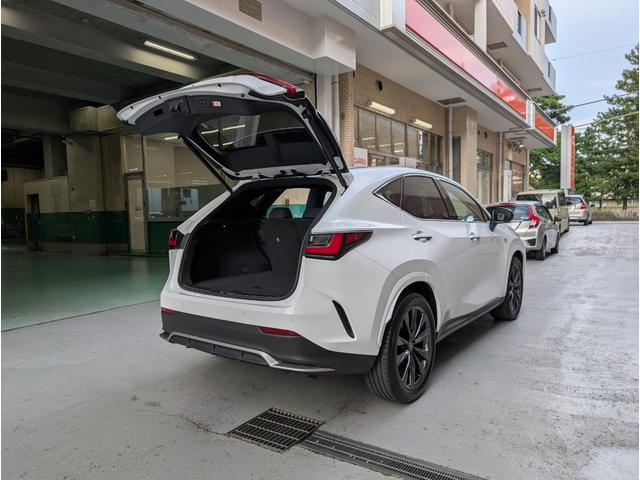ＮＸ ＮＸ３５０ｈ　Ｆスポーツ　全周囲カメラ　クリアランスソナー　オートクルーズコントロール　レーンアシスト　パワーシート　衝突被害軽減システム　ナビ　ＴＶ　オートマチックハイビーム　オートライト　ＬＥＤヘッドランプ　電動リアゲート（20枚目）