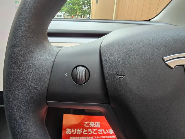 モデル３ ロングレンジ　ＡＷＤ　オートパイロット　ワンオーナー　禁煙車　保証継承　バッテリ保証　ＥＴＣ　パークアシスト　バックカメラ　サイドカメラ（9枚目）
