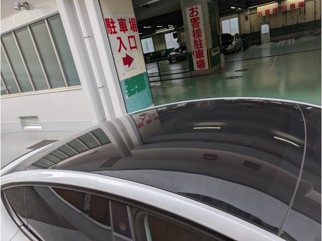 モデルY パフォーマンス ETC バックカメラ パワーシート サンルーフ ナビ アルミホイール パワーウィンドウ(41枚目)