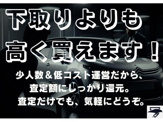ザ・ビートル ブロッサム（77枚目）