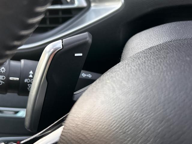 ３０８ ＳＷ　アリュール（48枚目）