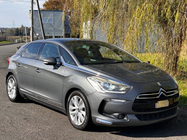 DS5 シック(6枚目)