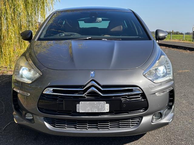 DS5 シック(7枚目)