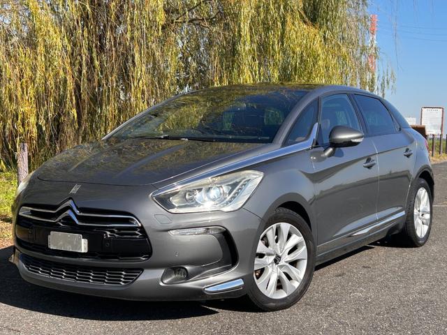 DS5 シック(8枚目)