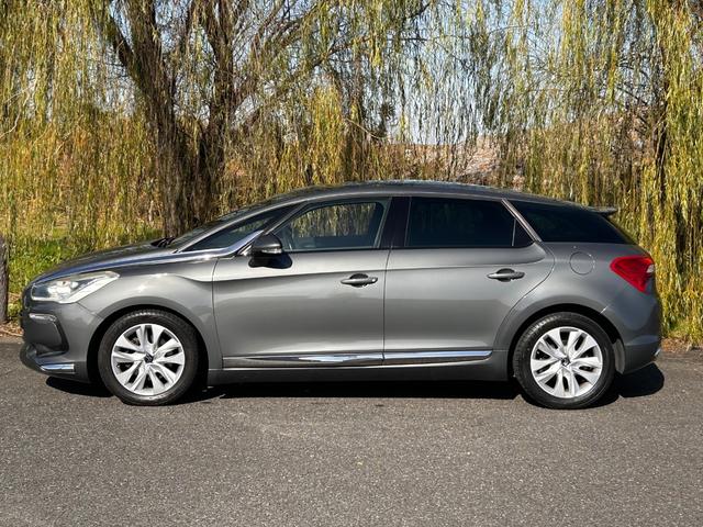 DS5 シック(9枚目)