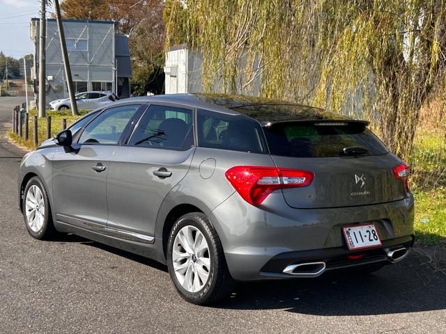DS5 シック(10枚目)