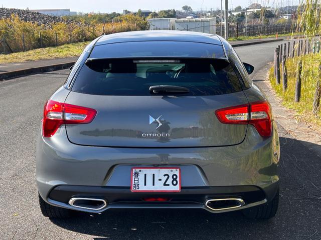 DS5 シック(11枚目)