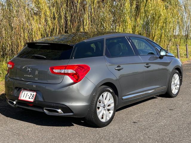 DS5 シック(12枚目)
