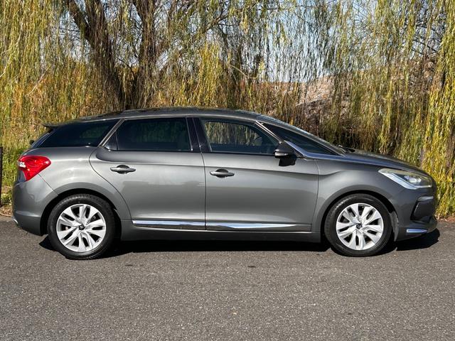 DS5 シック(13枚目)