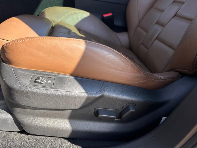 DS5 シック(24枚目)