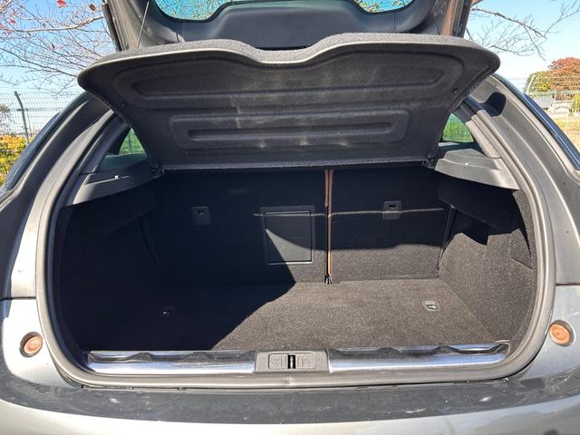 DS5 シック(31枚目)