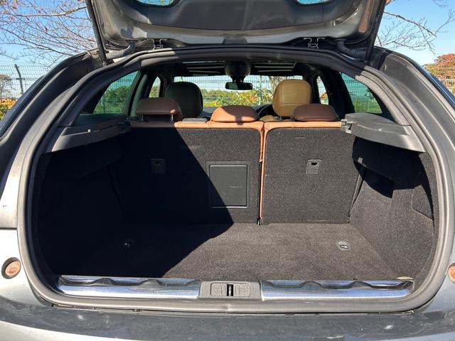 DS5 シック(32枚目)