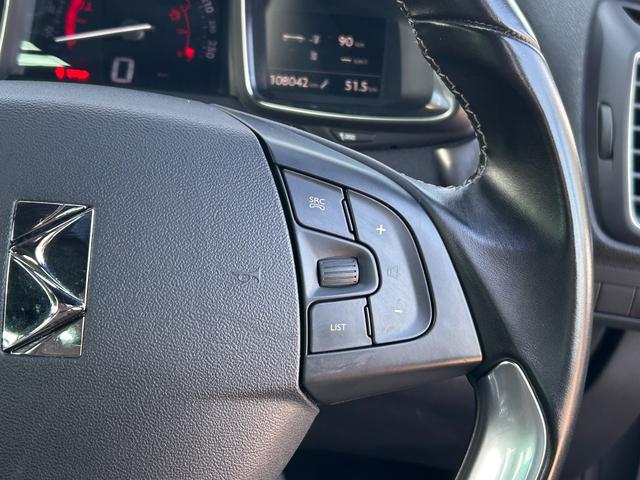 DS5 シック(40枚目)