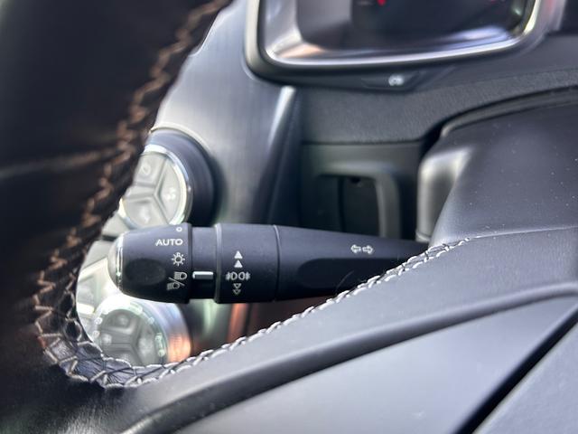 DS5 シック(41枚目)