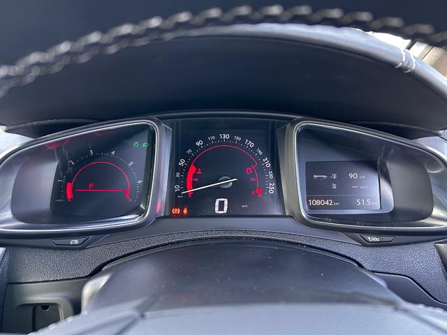 DS5 シック(43枚目)