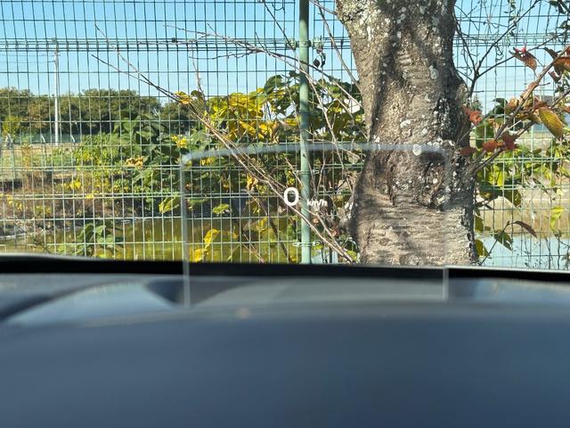 DS5 シック(44枚目)