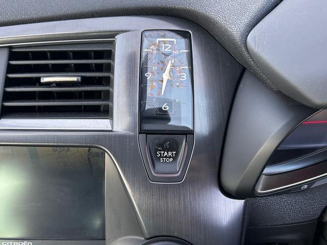 DS5 シック(45枚目)