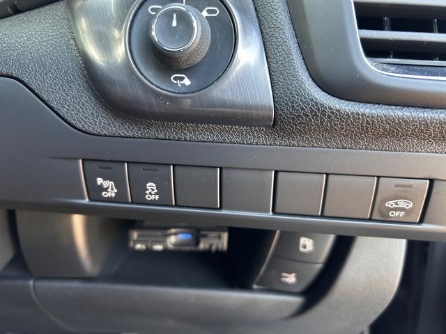 DS5 シック(53枚目)