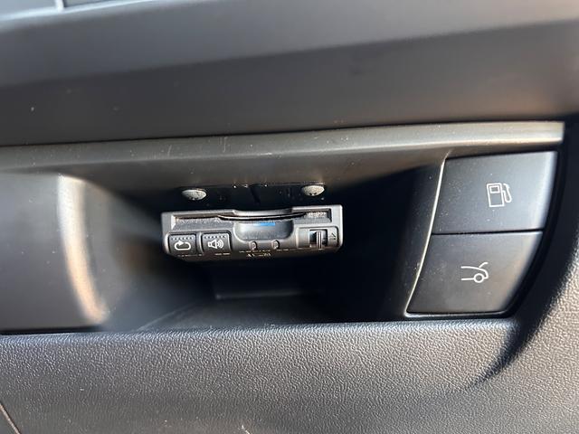 DS5 シック(54枚目)