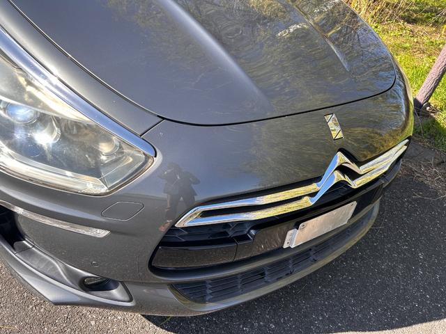 DS5 シック(61枚目)