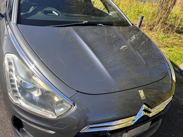 DS5 シック(62枚目)