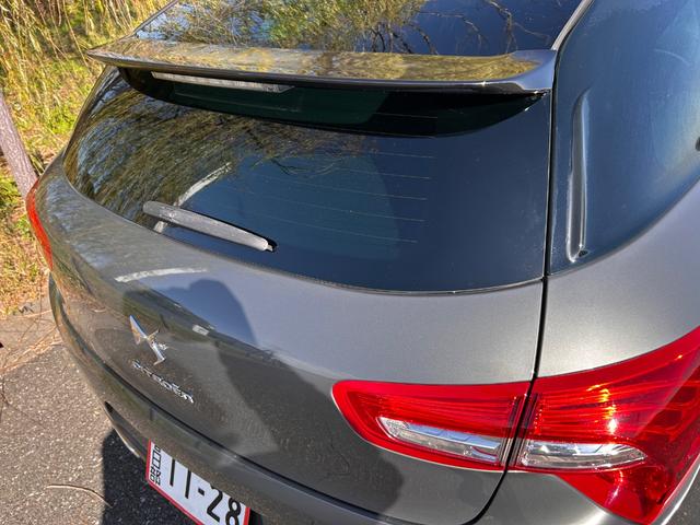 DS5 シック(66枚目)