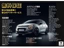 ザ・ビートル ブロッサム（3枚目）