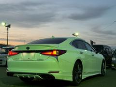 ţ ţӣ衡ƥݡġԣţĥԣģҥޥե顼ȥ󥯥ݥ顼 0541849A30251030W004 2