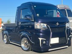 ϥåȥȥå ܡҳ£ӣ͡ҳޥե顼ƥץǥ塼ե륨 0541849A30251119W001 2