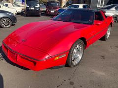 ܥ졼٥å ١졼 0541868A30251031W002 3