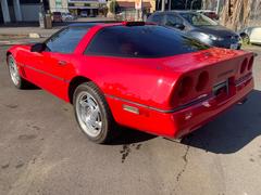 ܥ졼٥å ١졼 0541868A30251031W002 5