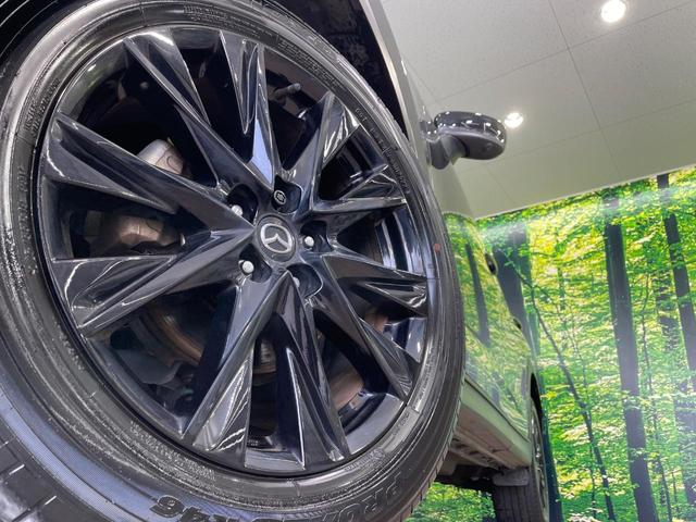 ＣＸ－５ ２０Ｓ　ブラックトーンエディション　ＢＯＳＥサウンド　純正１０型ナビ　全周囲カメラ　衝突軽減　レーダークルーズ　電動リアゲート　ステアリングヒーター　ハーフレザーシート　パワーシート　コーナーセンサー　スマートキー　ＬＥＤヘッド　ＥＴＣ（13枚目）