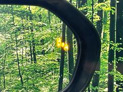 ڥ֥饤ɥݥåȥ˥桢ɥߥ顼λѤˤʤ䤹ս˸³֤᤹ܶȥɥߥ顼Υ󥺤˷ٹɽɥ饤Сմ򤷤Ƥޤ 7