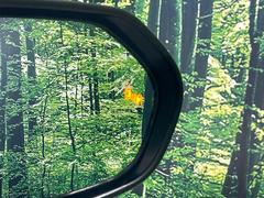 ڥ֥饤ɥݥåȥ˥桢ɥߥ顼λѤˤʤ䤹ս˸³֤᤹ܶȥɥߥ顼Υ󥺤˷ٹɽɥ饤Сմ򤷤Ƥޤ 6